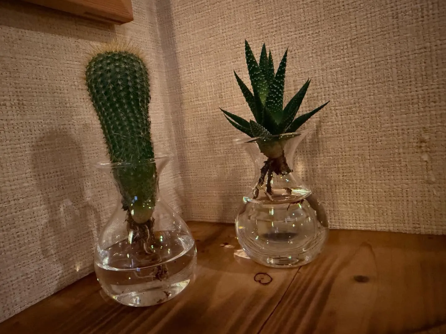 いつも当店をご利用頂きありがとうございます！