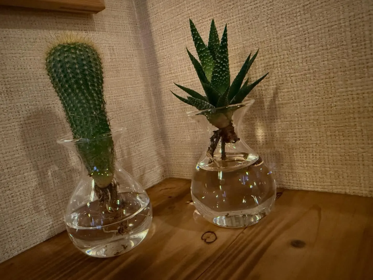 当店をいつもご利用頂きありがとうございます🙇♂️