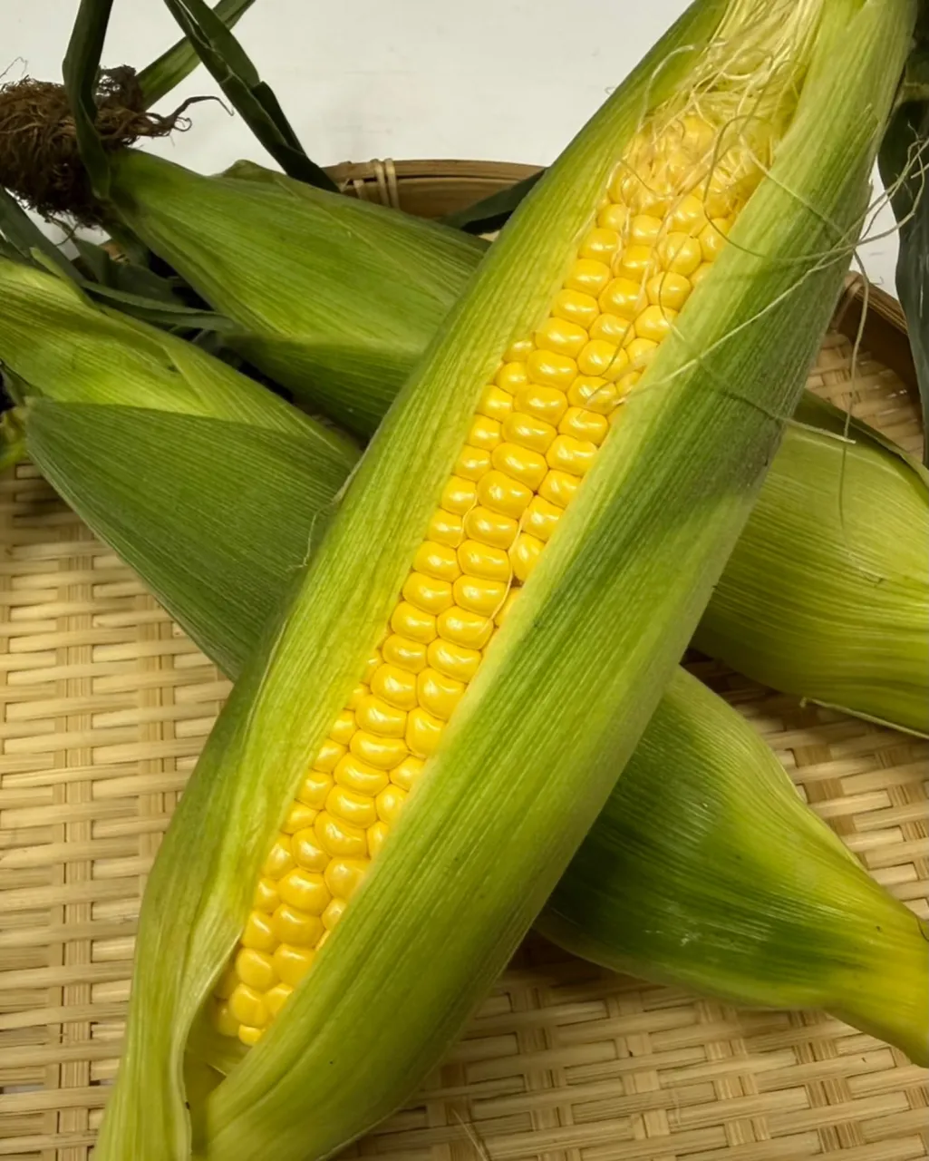 北海道産のトウモロコシを仕入れました🌽