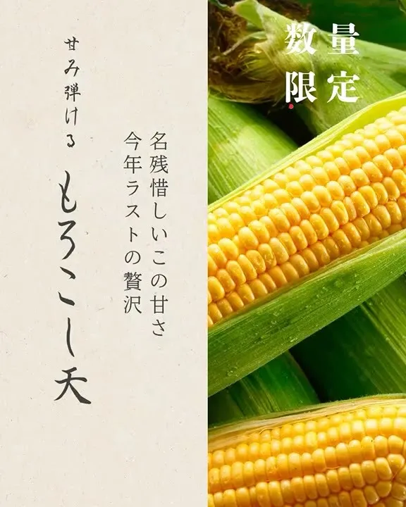 北海道産のトウモロコシを仕入れました🌽